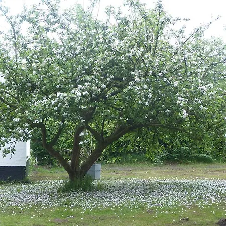 Kristiansminde Farm Farm stay *